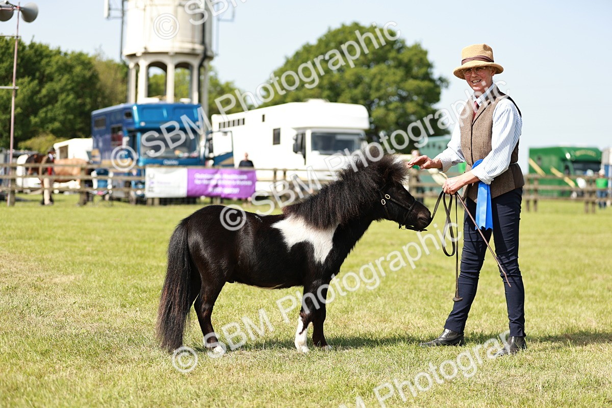 SBM_01930 - Class 14-23 - Mountain & Moorland In Hand Non Welsh