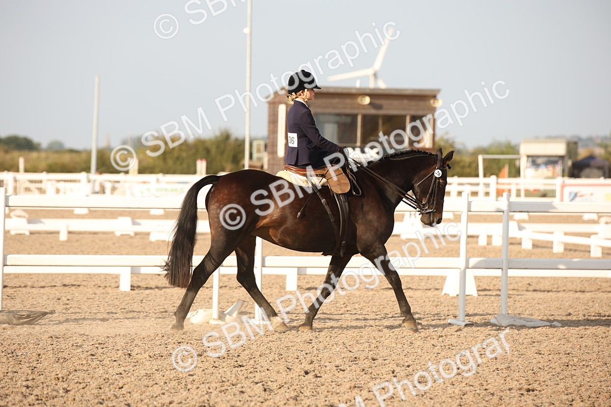 SBM_09225 - Regional Ridden Champ