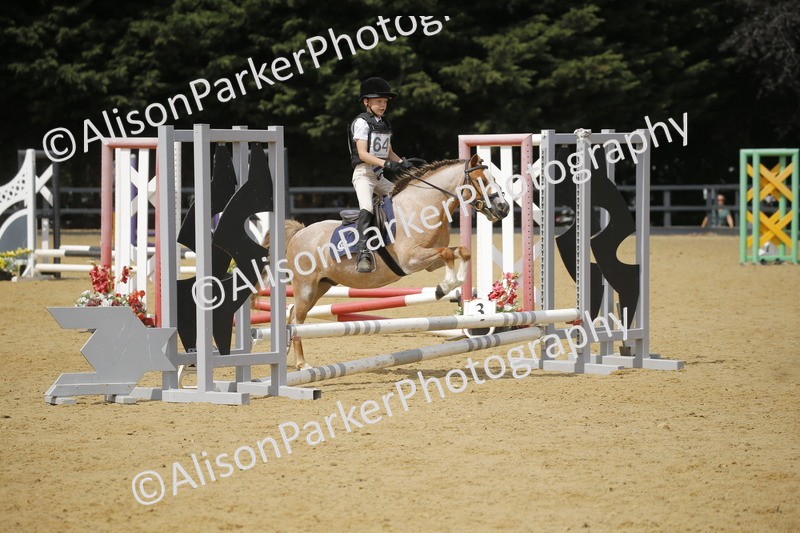 20250622-4072 - 50cm