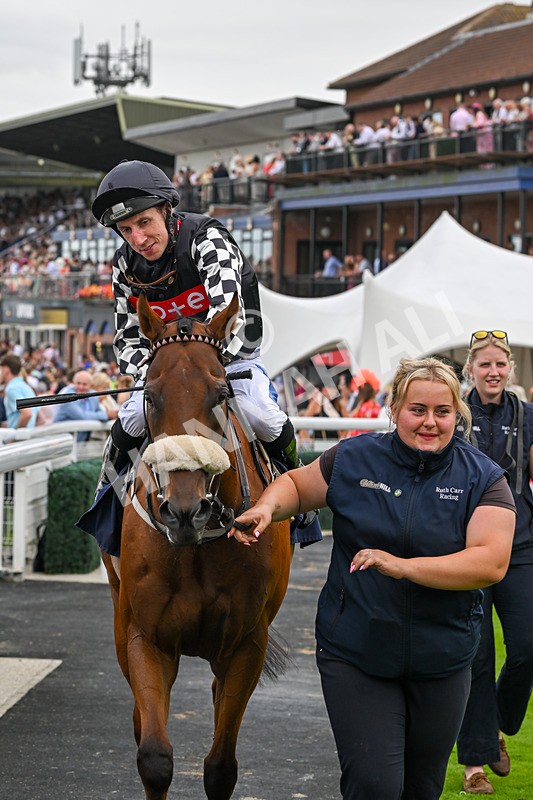 140824-Race 3-King Sharja-6295 - Race 3