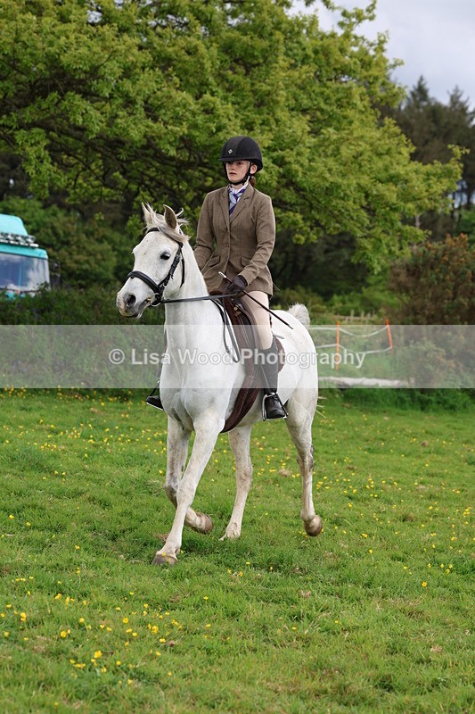 3E7A2105 - Class 11: Ridden Arab