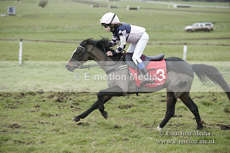 PtP 150320 0802 - New Forest Point-to-Point Larkhill 15/03/20