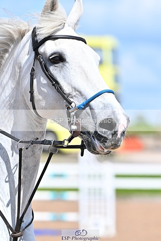 240619A-154903-00994 - Cls 5 Snr Foxhunter and 1.20m Open