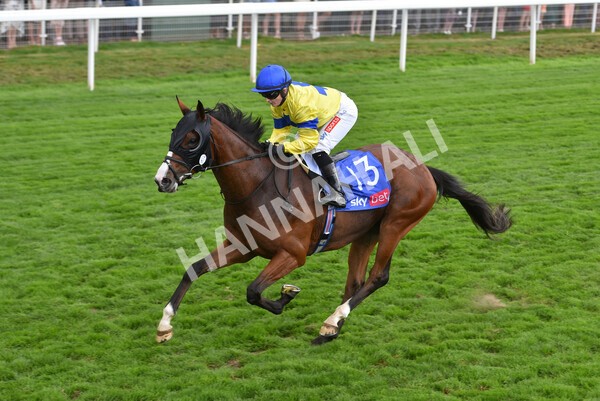 yr20082022r2-41 - Race 2 2.35pm Sky Bet Melrose Stakes