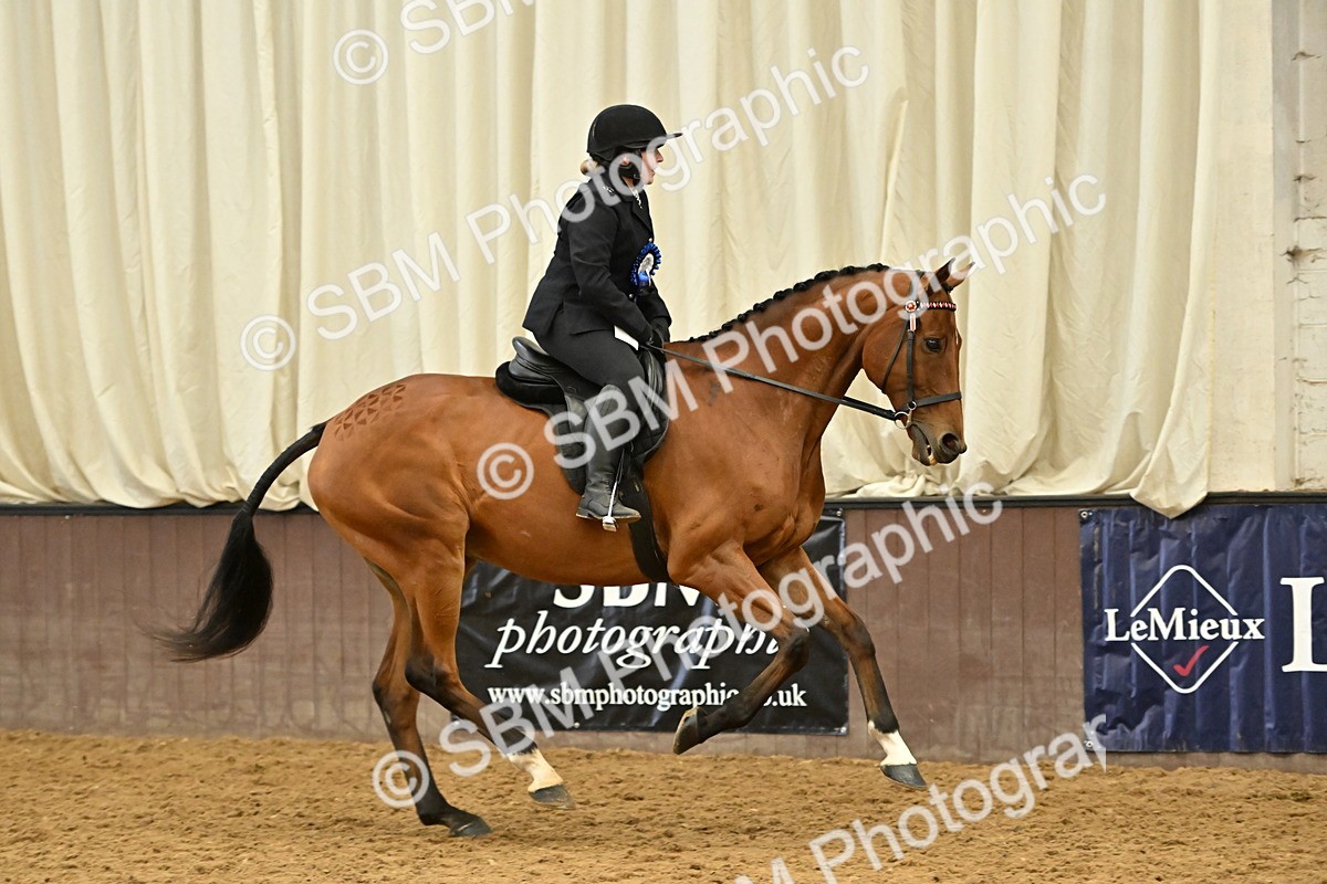 SBM_002015 - Class 24 - BSHA Ridden Racehorse to Show Horse