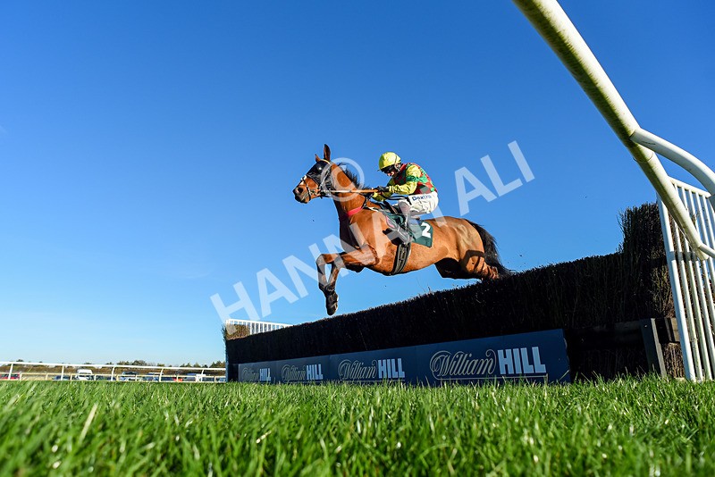 221124-Race 4-Duke Of Luckley-2764 - Race 4