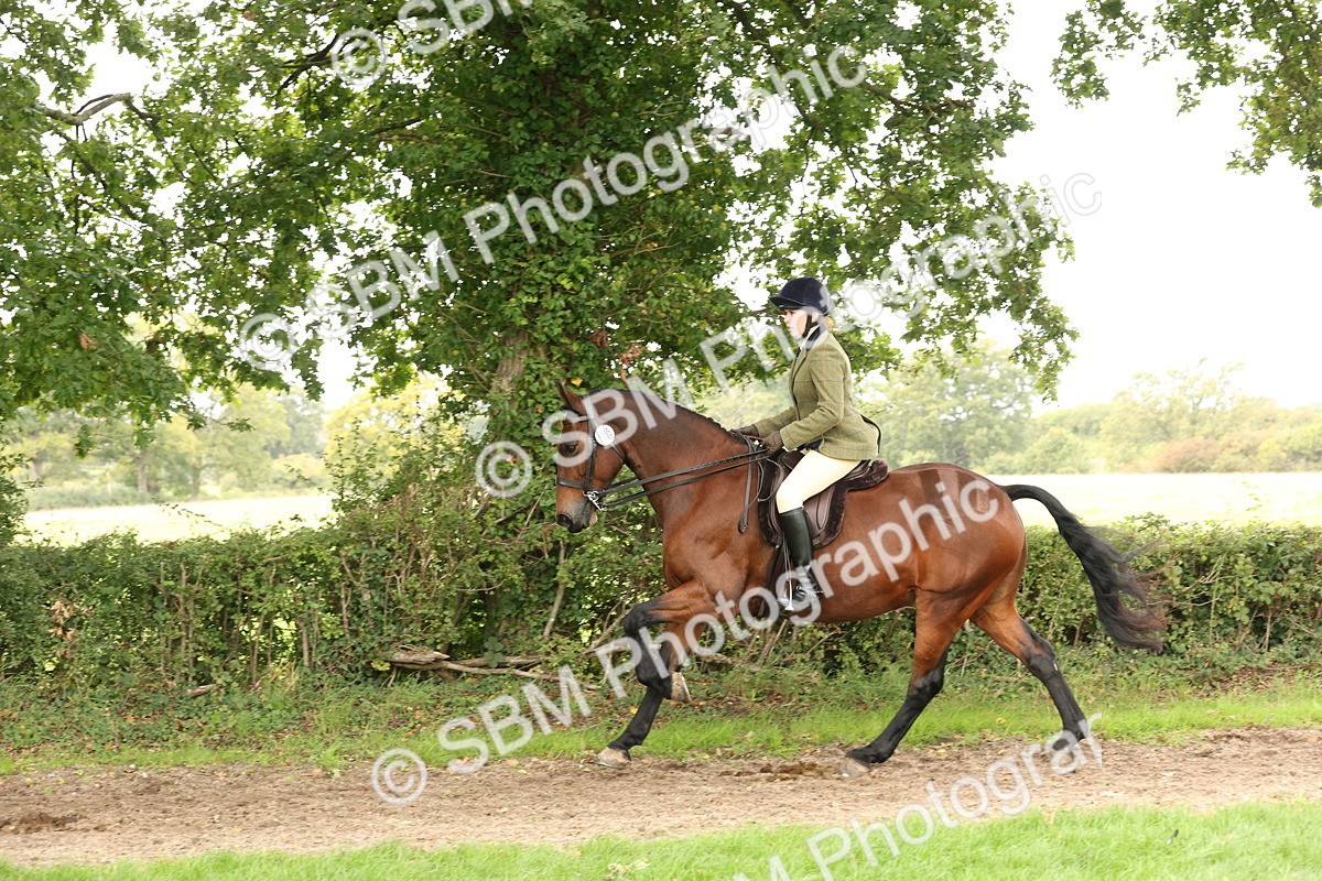 SBM_66328 - S66 - Hunter Ridden