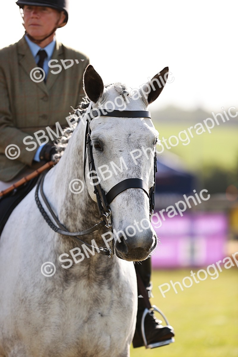SBM_10820 - Class 81-84 - RIHS Ridden hunters Inc Ladies Hunter
