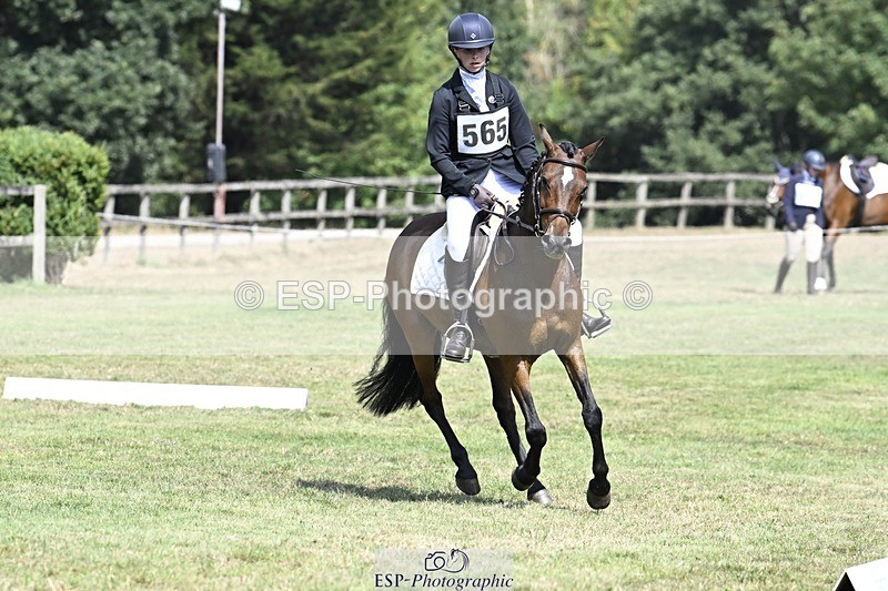 250822A-120822-22592 - DR 11.00 to 12.00