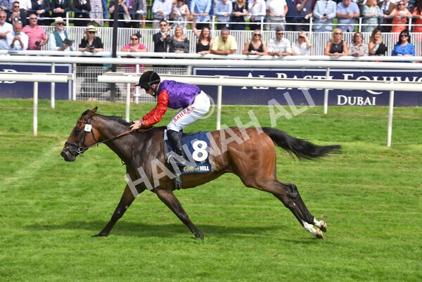 yr09072021r2-26 - Race 2: 2.40pm William Hill Summer Stakes