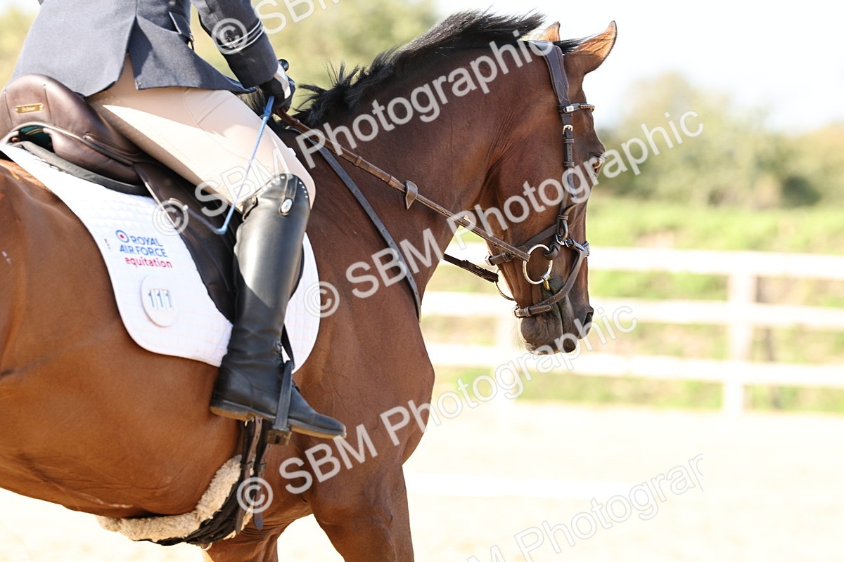 SBM_002449 - Class 50 - Novice 1