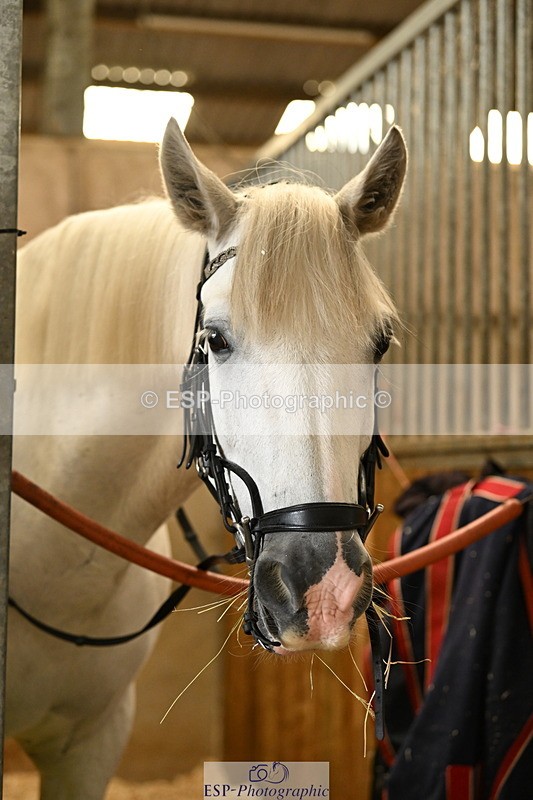 240809A-085918-00043 - Stable Shots