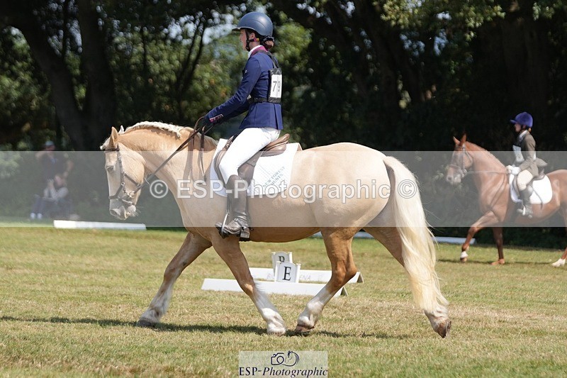 250823A-130715-31003 - Arena B