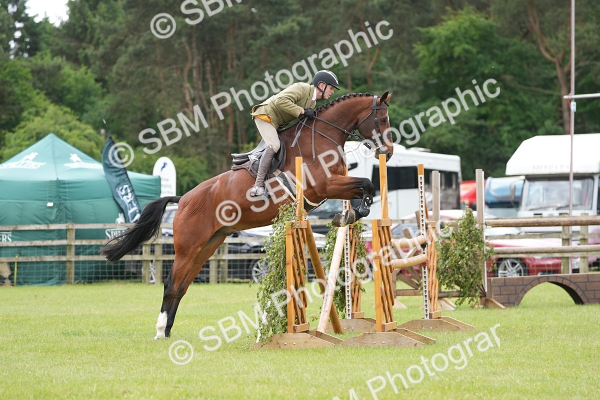 SBM_14927 - Class 100-102 - RIHS Working Hunter