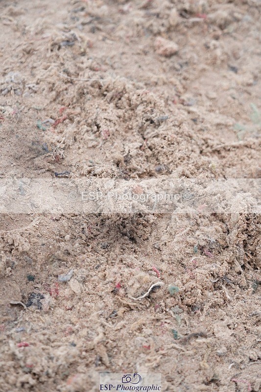 250607-124454-00975 - Cls 31+33 Club and Schools 1m