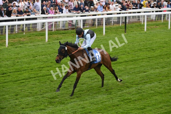 yr22052022r1-19 - Race 1: 3:30pm Sky Bet Sunday Series Apprentice Stakes
