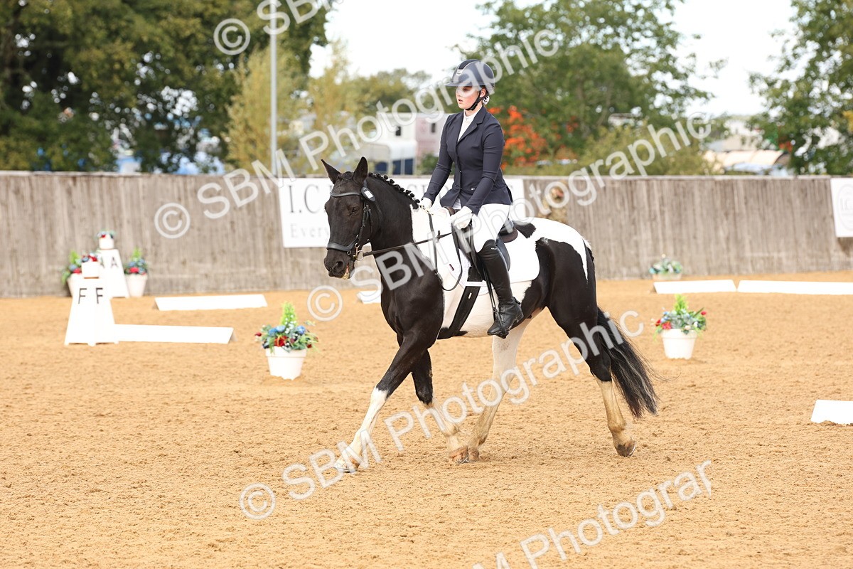 SBM_40672 - D6 - Small Tour Championship Intro 4