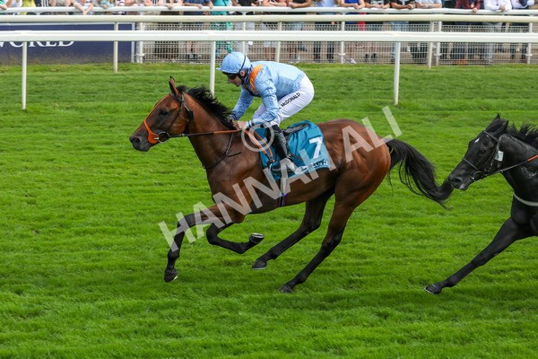 100923-Race 1-The Coffee Pod-3762 - Race 1 1.40pm Ire Incentive, It Pays To Buy Irish EBF Novice Stakes