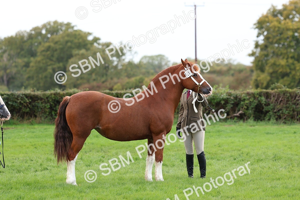 SBM_39442 - S24 - Young Veteran In Hand