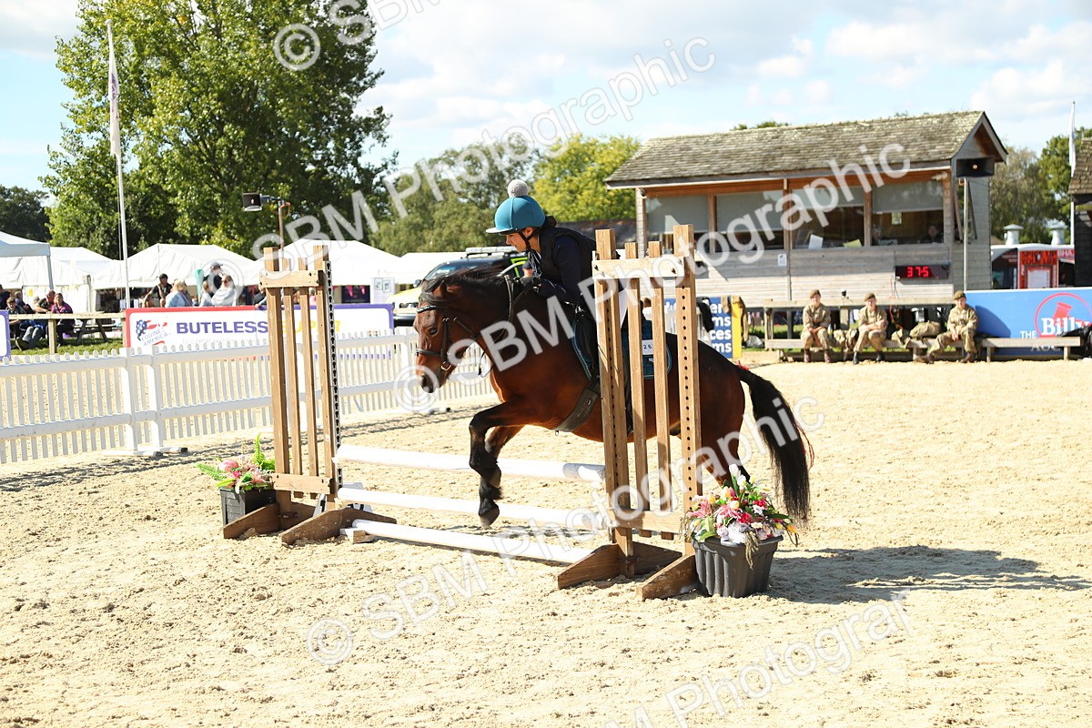 SBM_39386 - J6 - Junior Pony 55cm Championships