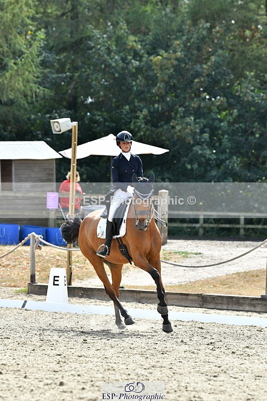 260802A-153327-07475 - Intermediate Bronze