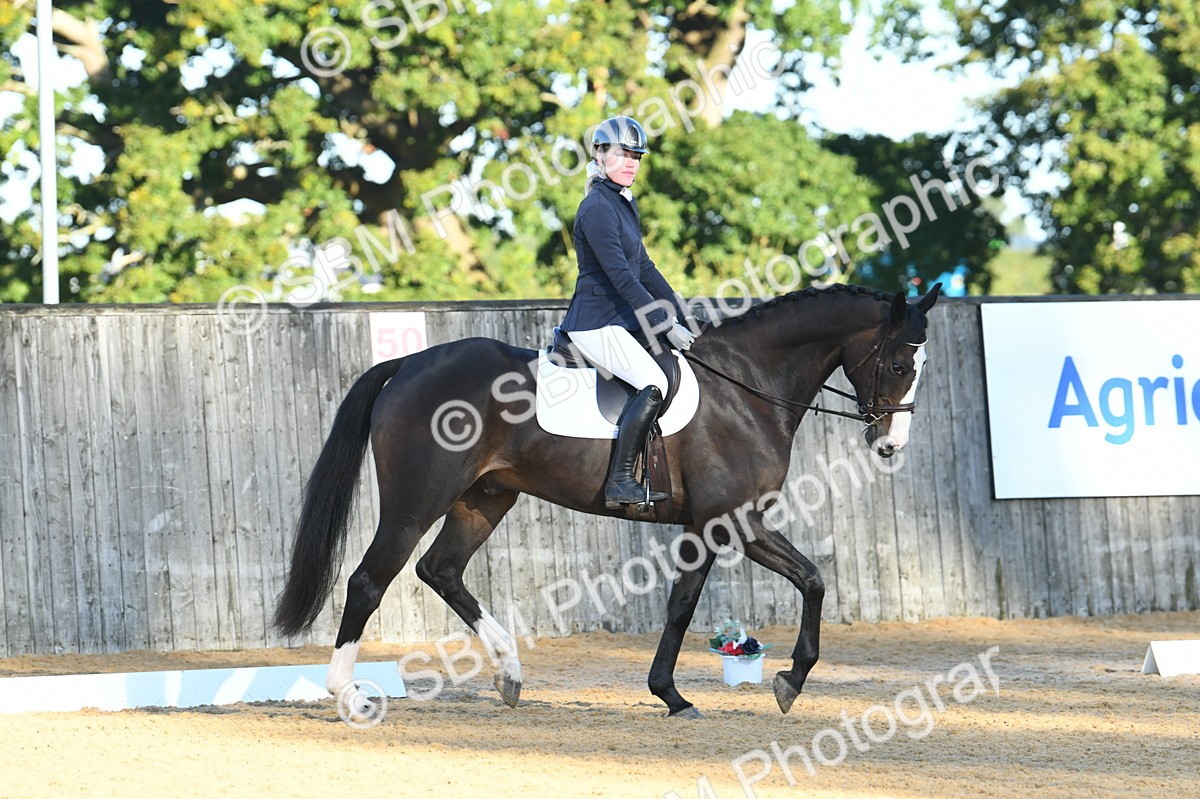 SBM_14338 - D4 - Small Tour Championship - Intro B
