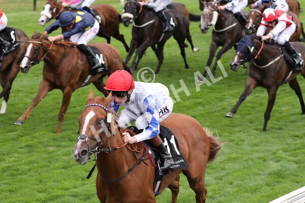 yr17082022r6-19 - Race 6 4.45 pm Celebrate ITM’s 200th IRE Voucher Winner Stakes