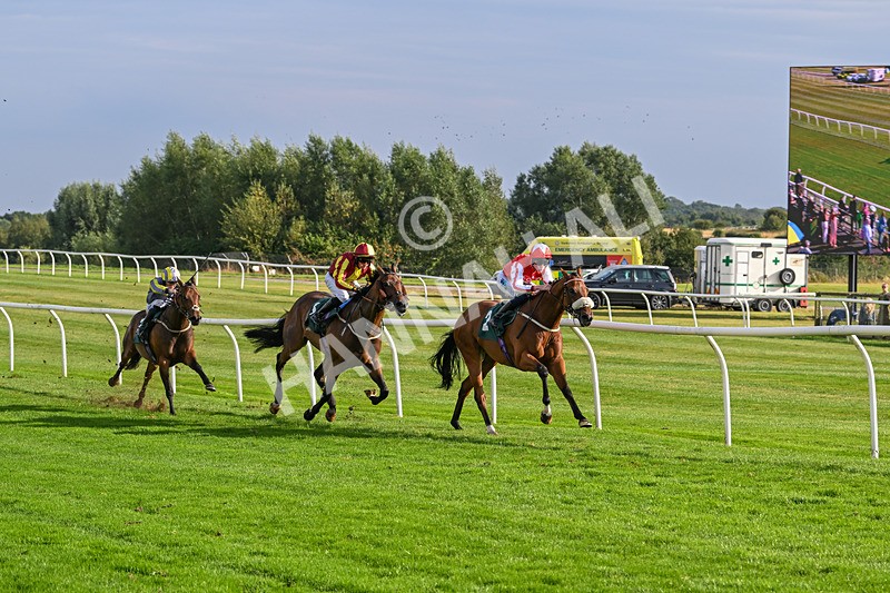 280824-Race 6-Night On Earth-4932 - Race 6