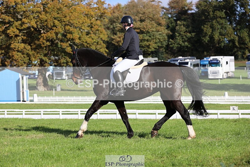 251024A-105806-07914 - D-350-Katie.Timberlake