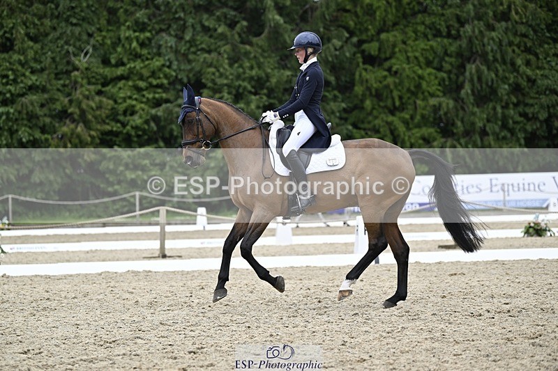 240523-145129-05115 - 442-FERNHILL_ZORO-Cassie_Sanger