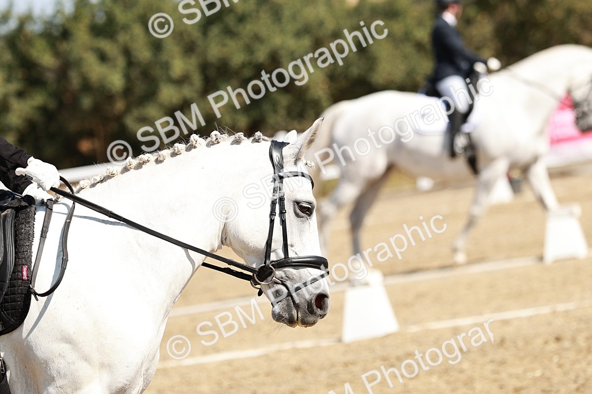 SBM_017427