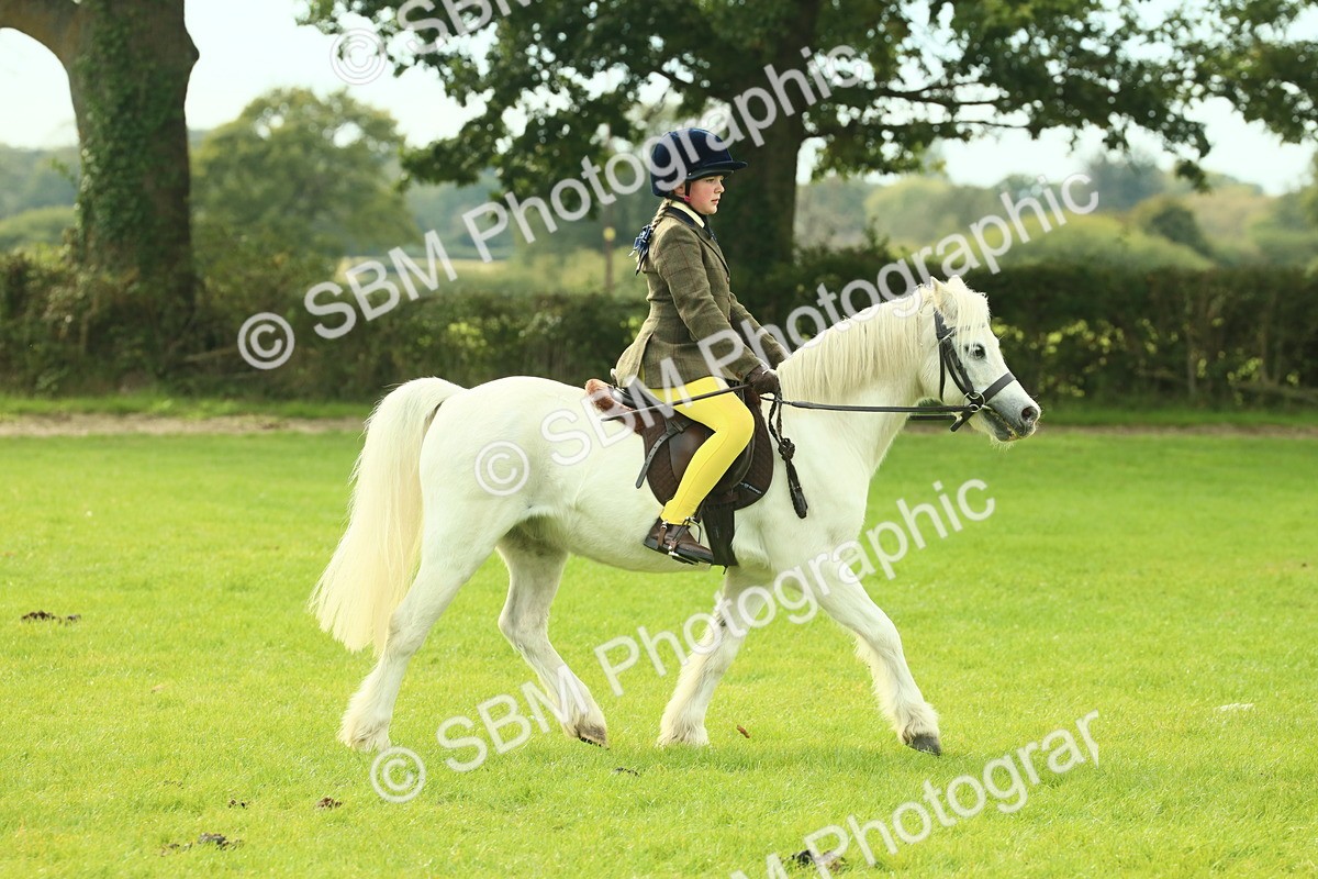SBM_69815 - S59 - Mountain & Moorland Ridden Small Breeds