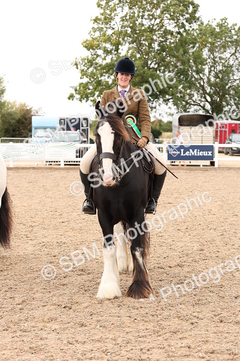 SBM_19737 - Class 216 - Ridden Traditional - Native Cob