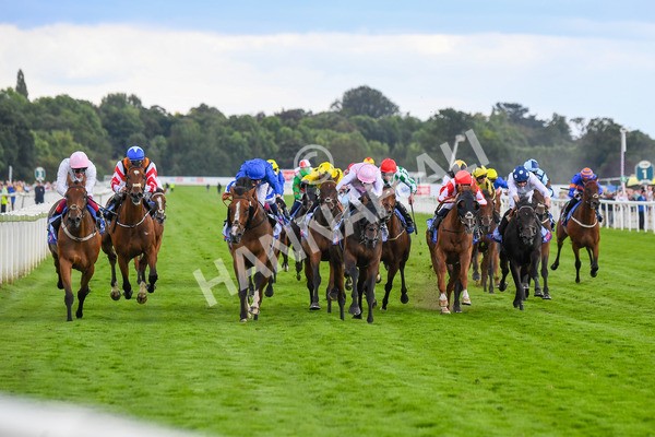 260823-Race 4-Absurde-0684 - Race 4 Sky Bet Ebor Handicap