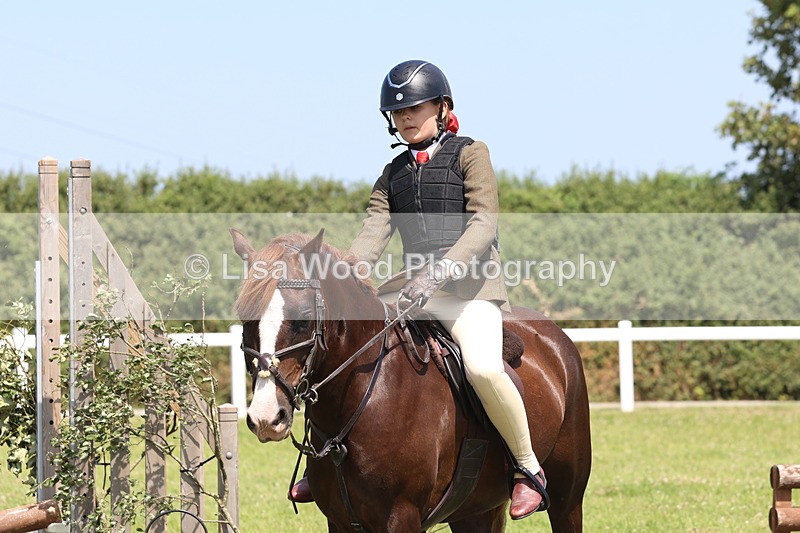 JPP_2403 - Class 21: Working Hunter 60cm