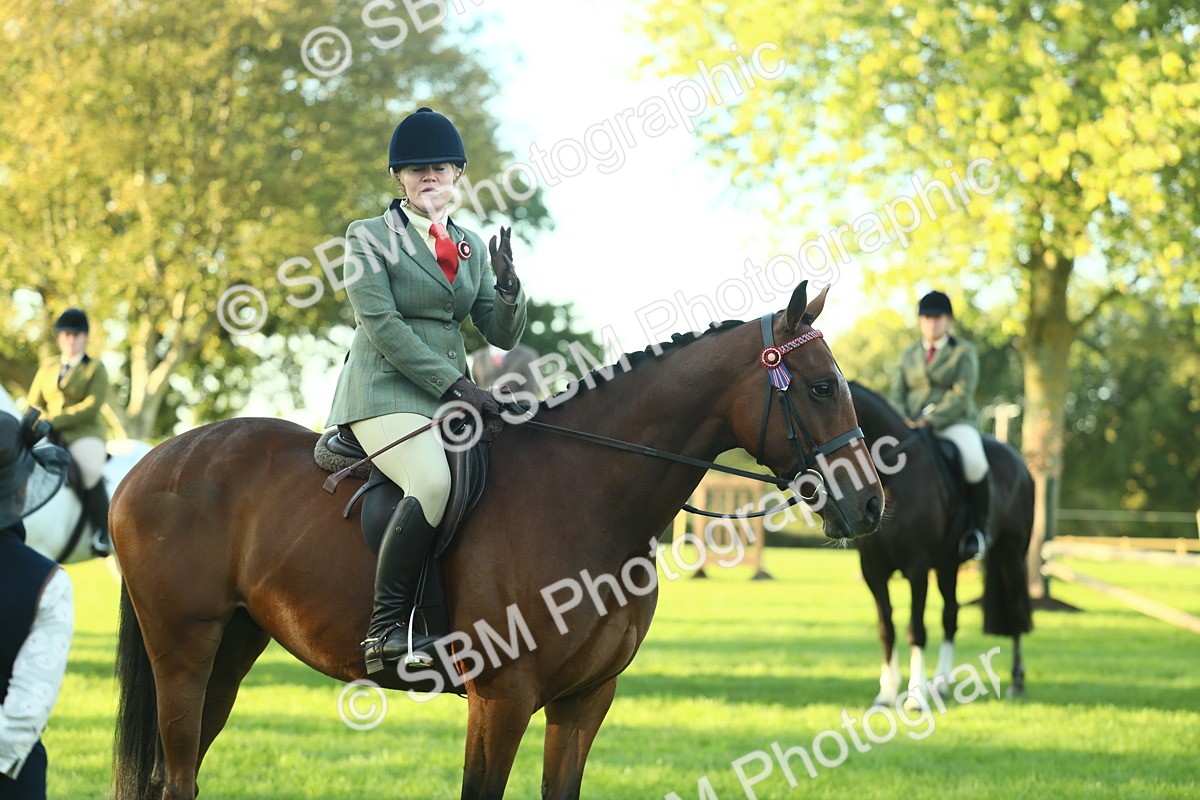SBM_55580 - S14 - Riding Club Horse