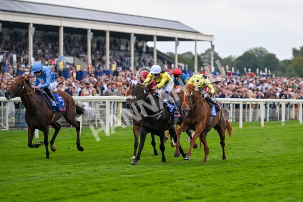 230825-Race 1-King Of Cities-9567 - Race 1 1.50pm Sky Bet Strensall Stakes