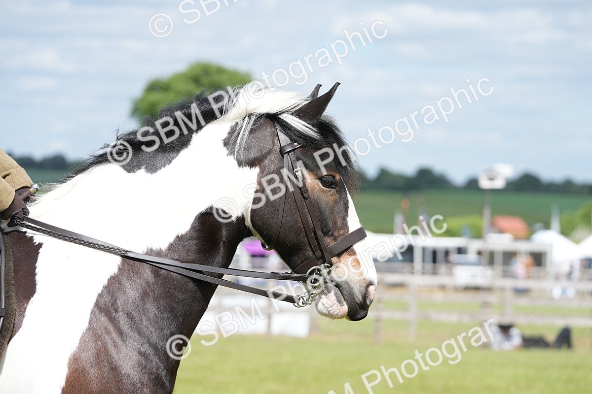 SBM_17284 - Class 107-108 - LIHS BSPS Performance Coloured Horse Pony