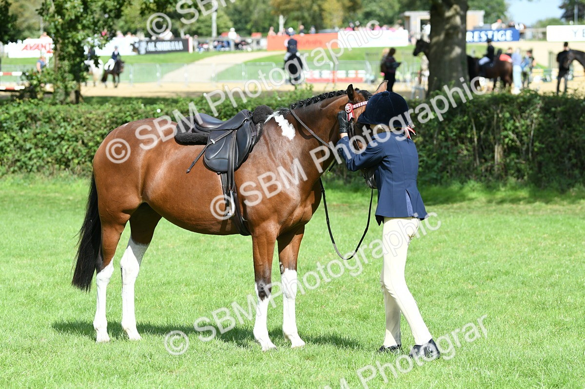 SBM_47150 - S12 - Family Horse & Pony