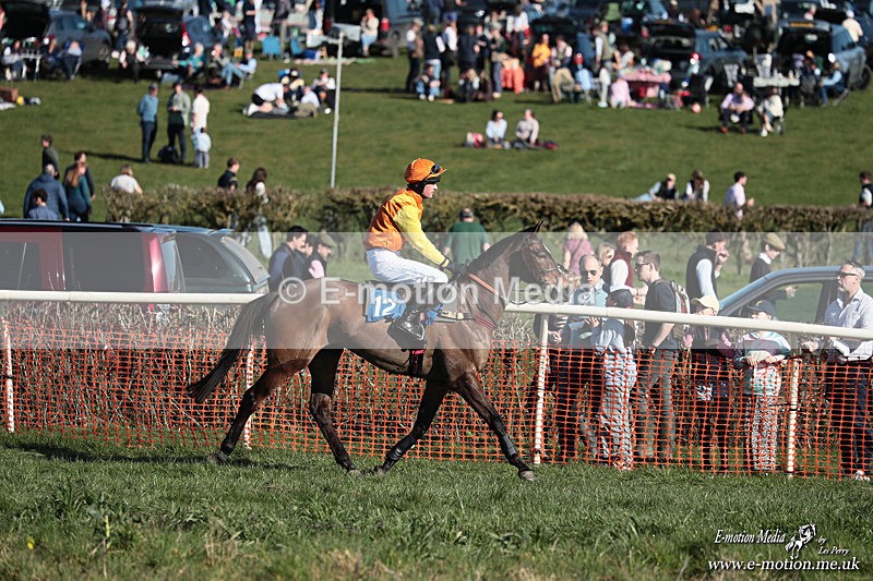 PtP 210326 617 - VWH Cirencester Races 21/03/26