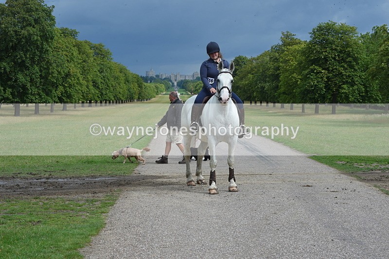 TT3_9205 - Time at Crossing 09:22 to 11:26