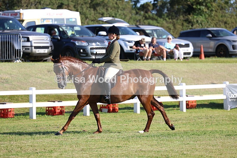 3E7A4995 - Class 1: Rising Star Small Hack/Riding Horses