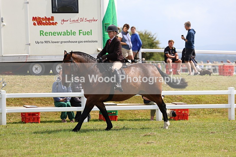 3E7A9771 - Class 5: Rising Star Lightweight/Heavyweight Cobs