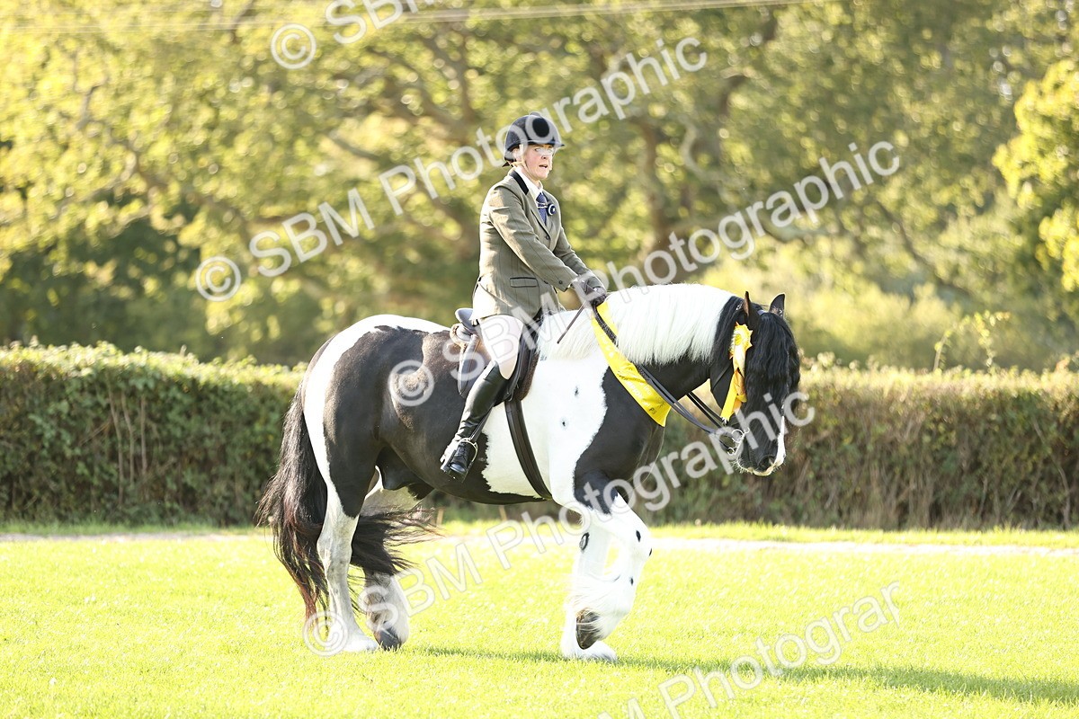 SBM_26508 - S6 - Novice & Newcomers Ridden Horse