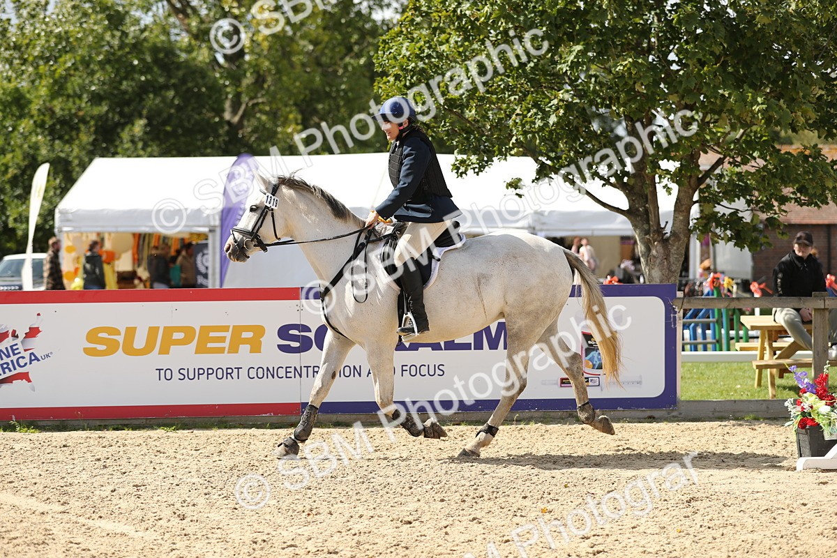 SBM_05862 - J35 - Veteran Rider 60cm