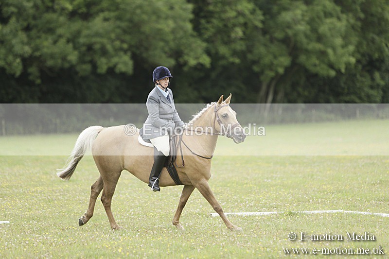 BVR160717-1201 - Class 2 Dressage 16/07/17