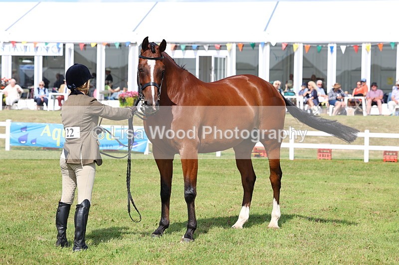 3E7A9556 - Class 4: Rising Star M/H Hunter