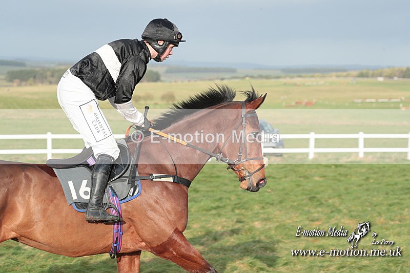 PtP 311223 476 - Larkhill Racing Club Point-to-Point 31/12/23