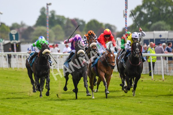 170523-Race 3-Azure Blue-0429 - Race 3 3.00pm 1895 Duke of York Clipper Logistics Stakes
