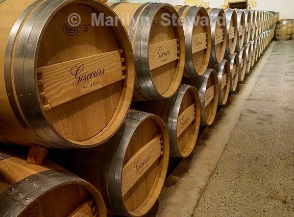 Margaux wine chateaux-43 - Bordeaux and nearby, France